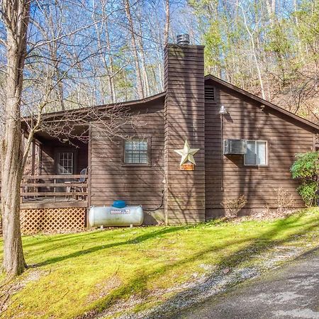 Bear Den, Hot Tub, 1089 Of Free Attraction Tickets For Each Paid Day, Dollywood And More! 塞维尔维尔 外观 照片